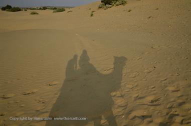 03 Camelride,_Sanddunes,_Kuri_DSC3407_b_H600